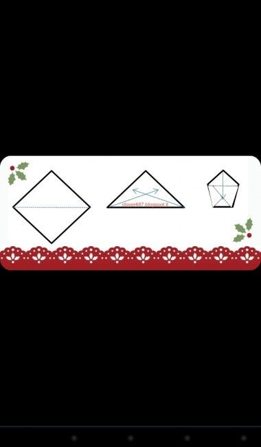 I miei coni portariso - 1