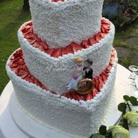 Torta ricoperta di panna  senza pdz - 1