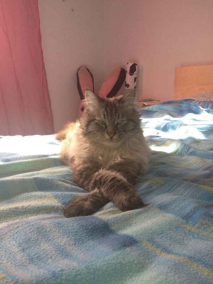 Se non ci fossero loro... - 2