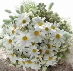 Bouquet di margherite