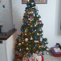 Avete mai fatto l'albero insieme? - 1