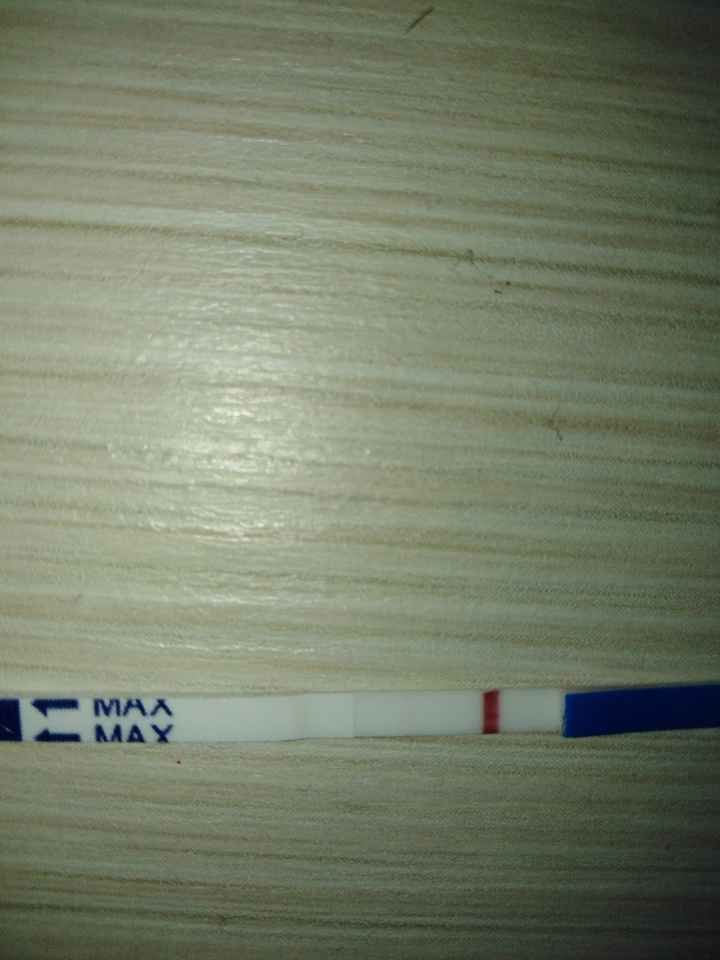 🌺Chi non le aspetta per agosto 🎁🏖️🌞💛💚❤️💝🌻🌷 - 1