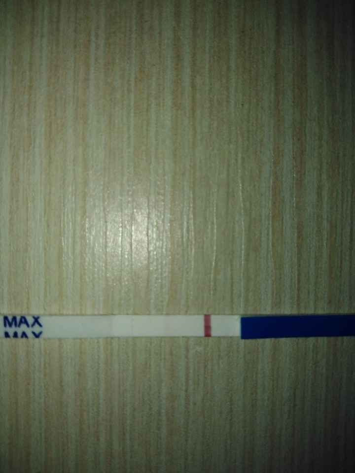 🌺Chi non le aspetta per agosto 🎁🏖️🌞💛💚❤️💝🌻🌷 - 1