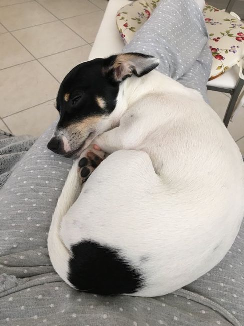 Ecco il nostro "bimbo" - 1