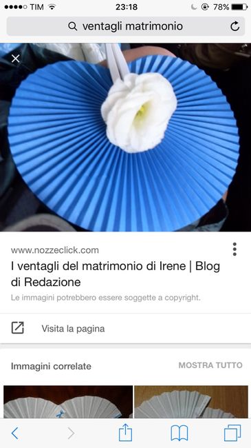 Ventagli arrivati... che delusione.... - 1