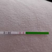 Chi non le aspetta per Gennaio 2024 🍀🤞🏼💪🏼❤️🌈 - 2