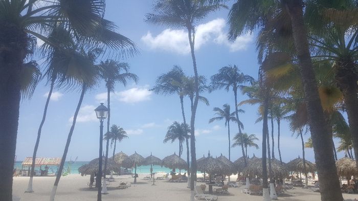 Aruba indecisione - 1