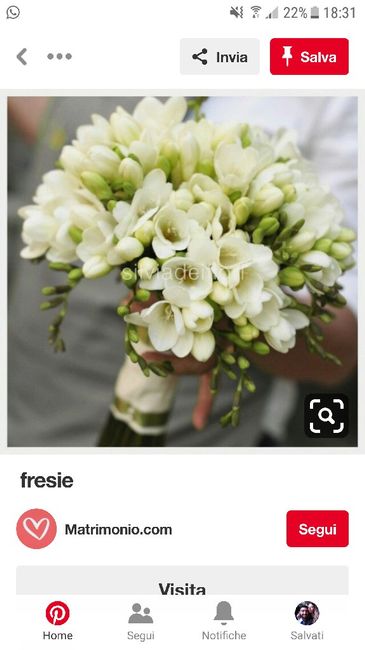 Fiori 💐 per Settembre? - 2