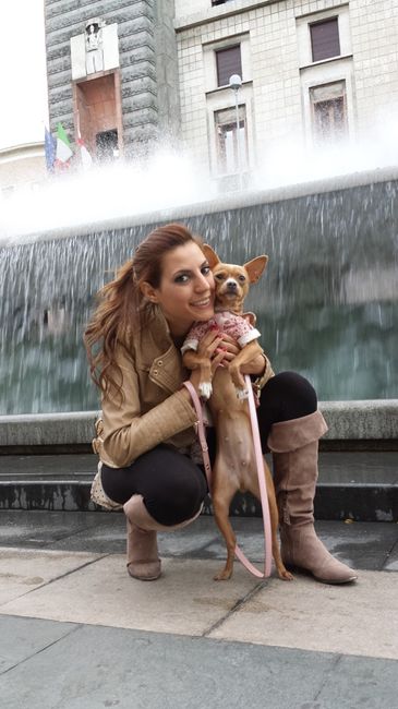 Too cute: i vostri amici animali - 1