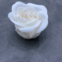 Rosa di sapone - 1