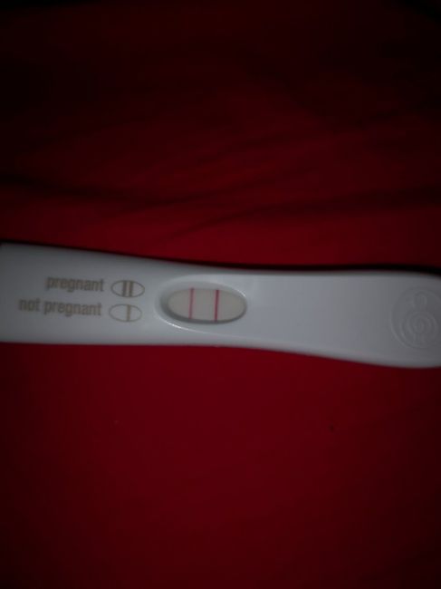 Ci facciamo compagnia? - 1