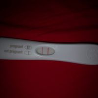 Per chi non le aspetta per febbraio 2020 - 1