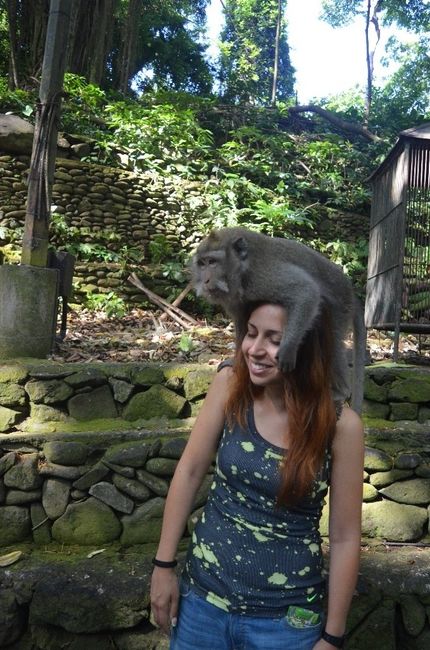 monkey forest