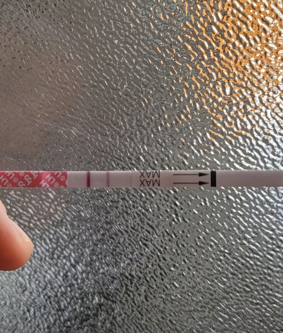 Chi non le aspetta per marzo 2023🍀 - 1