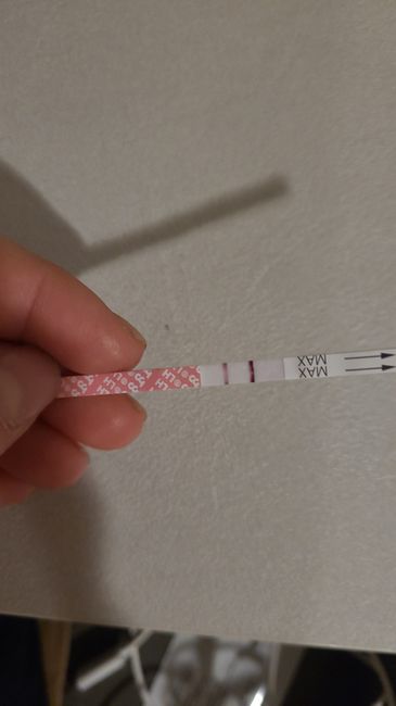 Chi non le aspetta per marzo 2023🍀 - 1