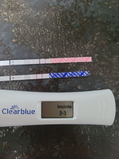 Test hcg e allattamento e senza capoparto 1