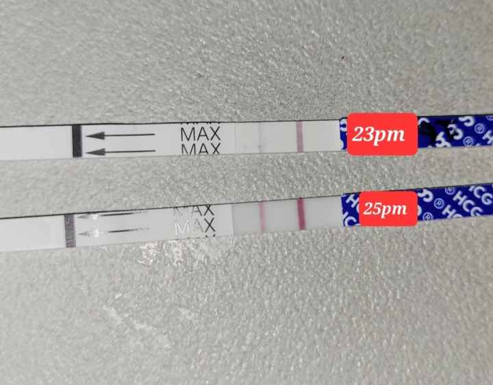 Chi non le aspetta per marzo 2023🍀 - 1