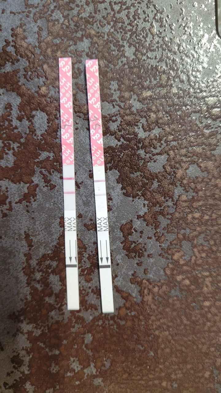 Chi non le aspetta per marzo 2023🍀 - 1