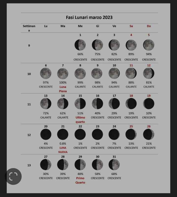 Mamme novembre 2023 - 1