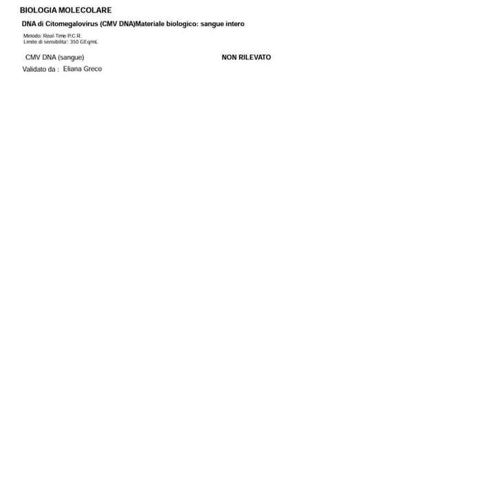 Cytomegalovirus primo trimestre - 1