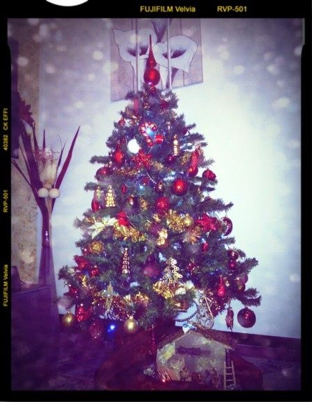 albero di naale 2013