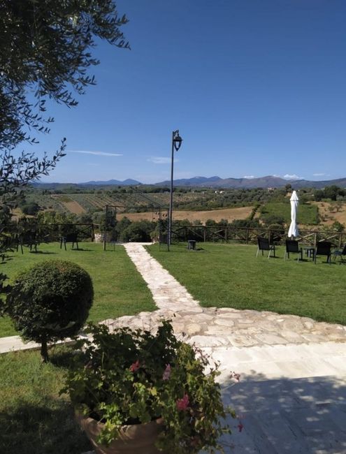 Quale avete scelto? 1