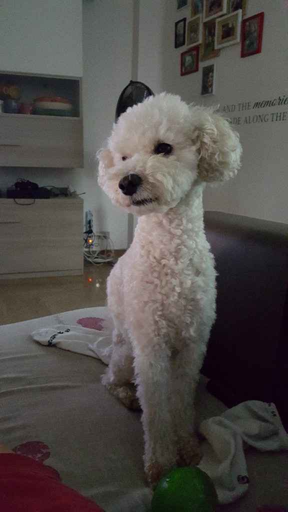 I nostri animali ♥️ - 3