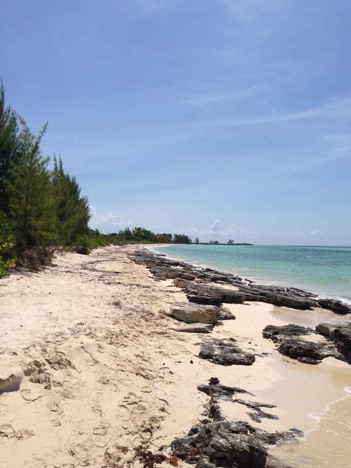 Un saluto dalle bahamas - 1