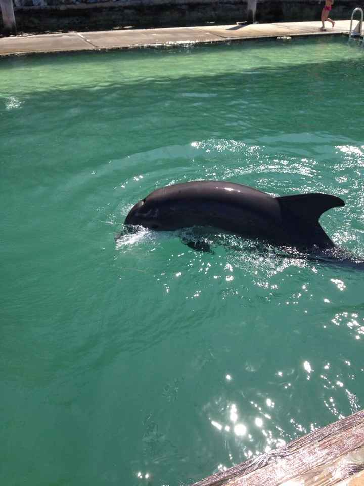 Un saluto dalle bahamas - 2