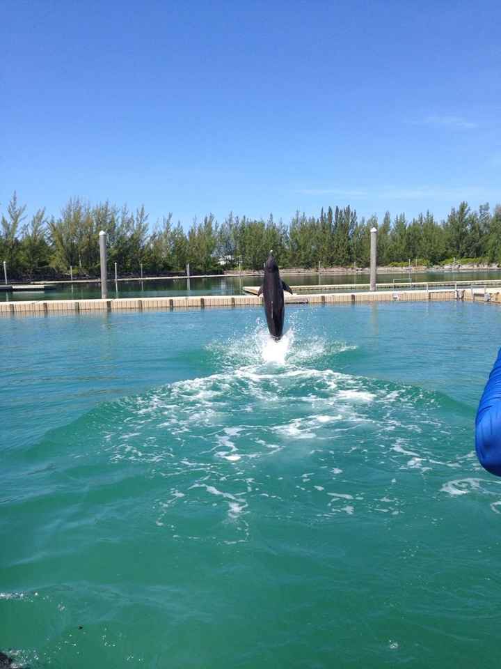 Un saluto dalle bahamas - 3