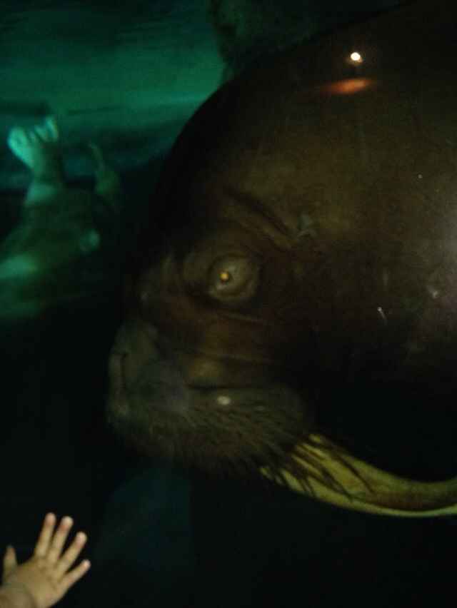 E dopo le bahamas seconda tappa a orlando.... - 3