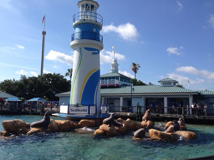 E dopo le bahamas seconda tappa a orlando.... - 1