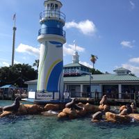 E dopo le bahamas seconda tappa a orlando.... - 1