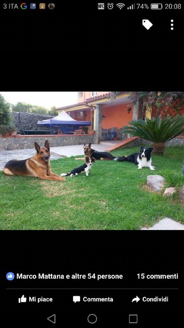 La foto col peloso di famiglia :) - 1