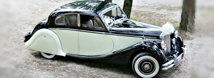 Macchina sposi in tema - 1