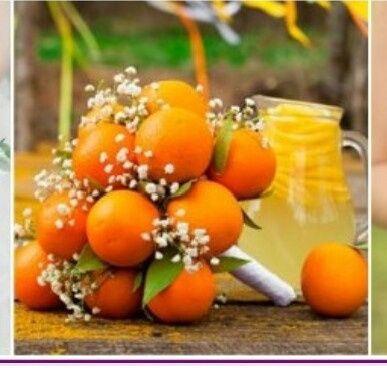 W le alternative - 1