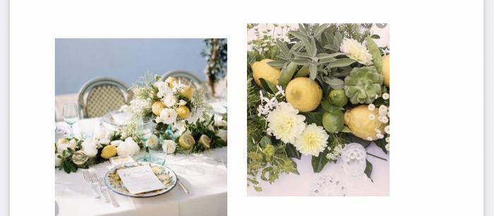 Scelta tema e colore 6