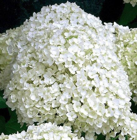 Indecisione portami via.... - 6