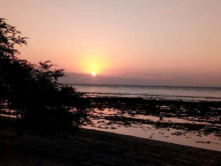 Tornati dall' indonesia... - 1