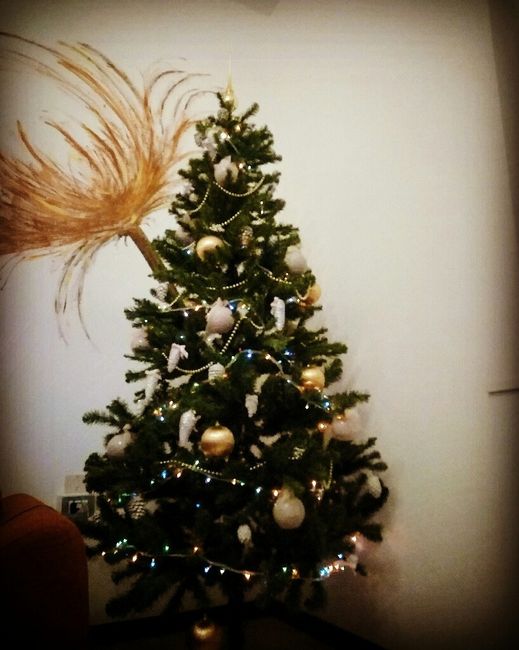 Il ns primo albero da mr. and mrs - 1