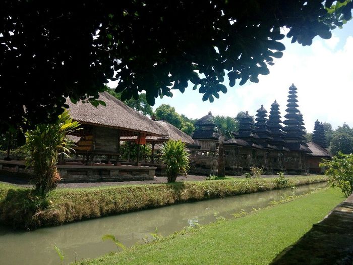 Tornati dall' indonesia... - 2