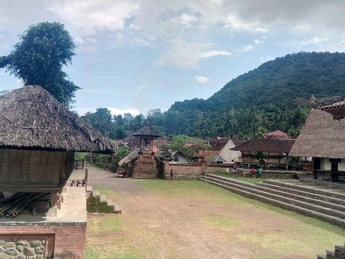 Tornati dall' indonesia... - 8