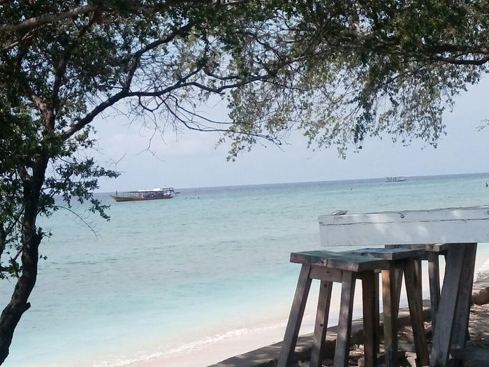 Tornati dall' indonesia... - 10