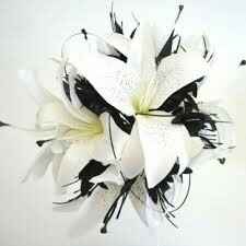 Consiglio bouquet - 1