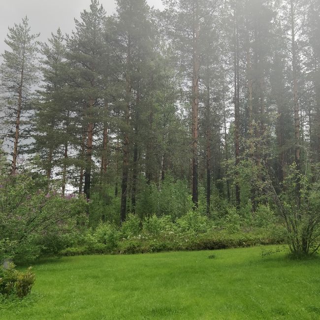 Location 2019 approvata! - 2