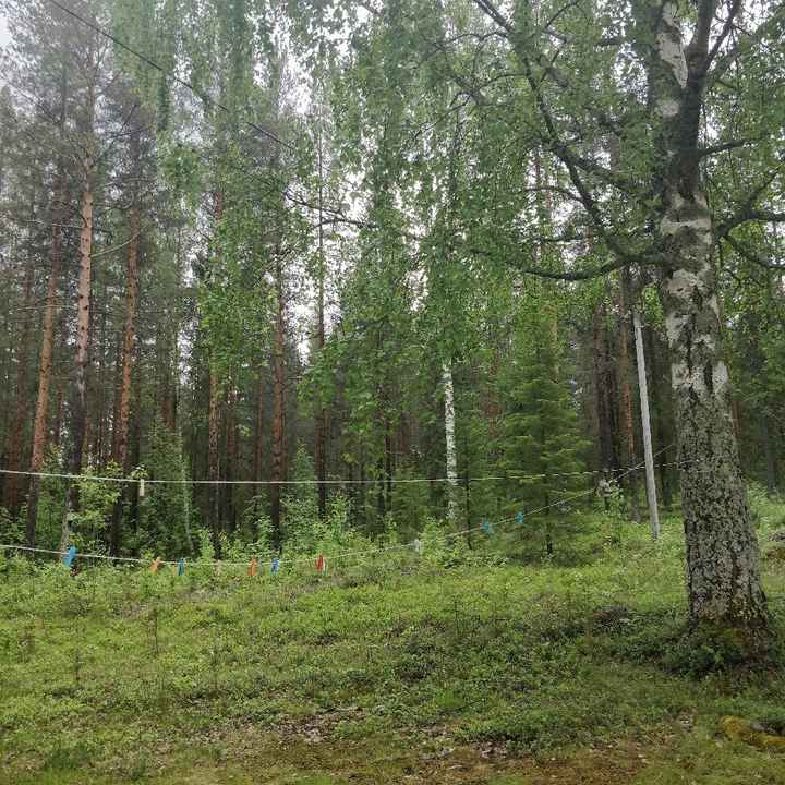 Location 2019 approvata! - 4