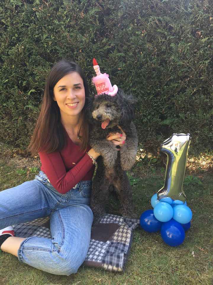 Collaboratori pelosi ❤️ - 1