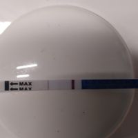 Risultato test di gravidanza canadese..help me!!!! - 2