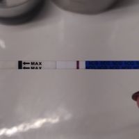 Risultato test di gravidanza canadese..help me!!!! - 3