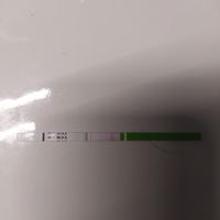 Risultato test di gravidanza canadese..help me!!!! - 1